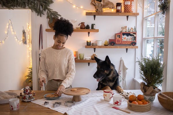 Hundekekse selbst gemacht