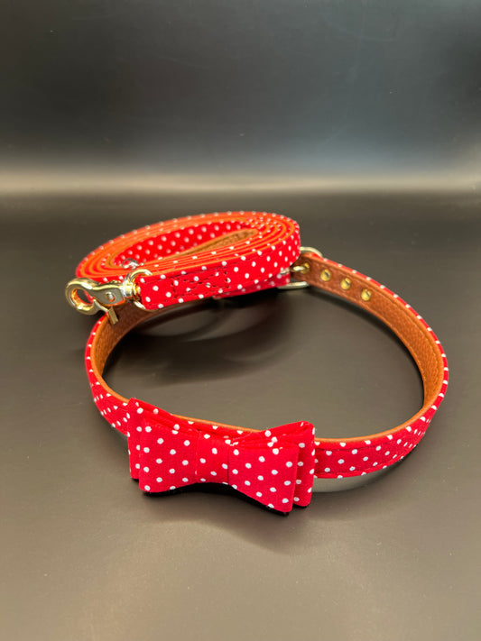 Halsband + Leine rot