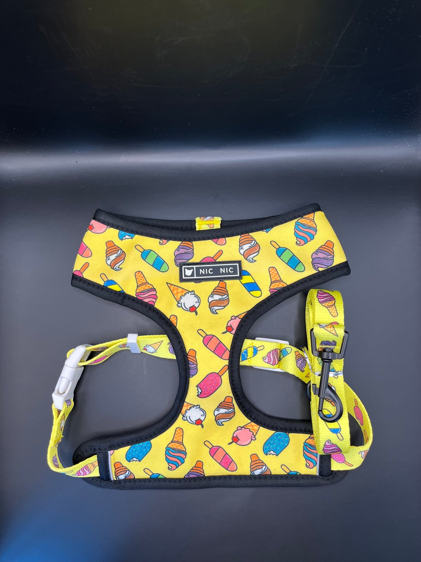 Geschirr + Leine Set