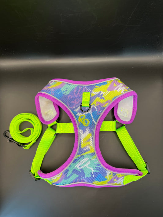 Geschirr + Leine Neon