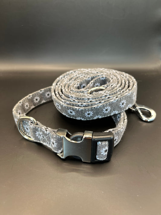 Halsband + Leine grau